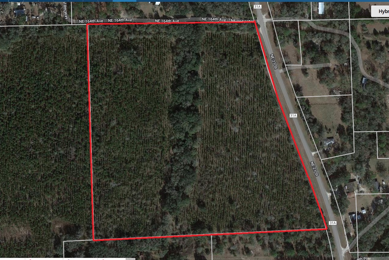 SOLD! 30+ Acres N. Gainesville